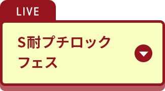 S耐プチロックフェス